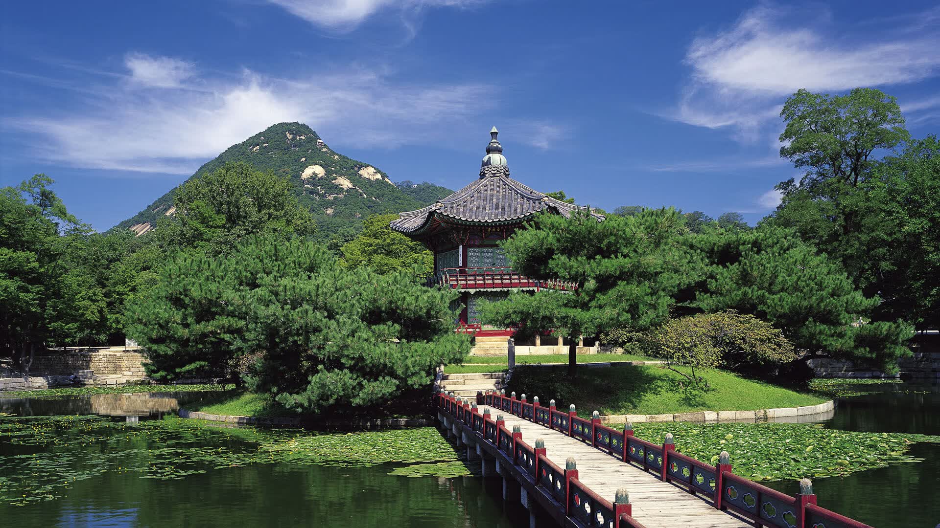 世界青少年拳击友谊赛:技术流打法赢得掌声,2021年青少年拳击比赛